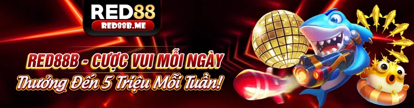 Sân đấu đá gà trực tuyến Fun88 2026 với gà chiến dũng mãnh